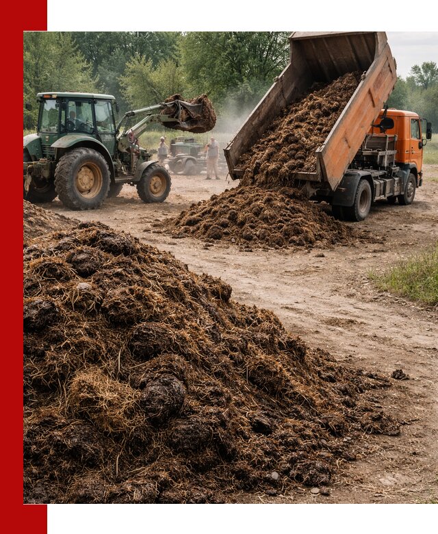 Доставка навоза самосвалами в Лесосибирске для сельхозпотребностей